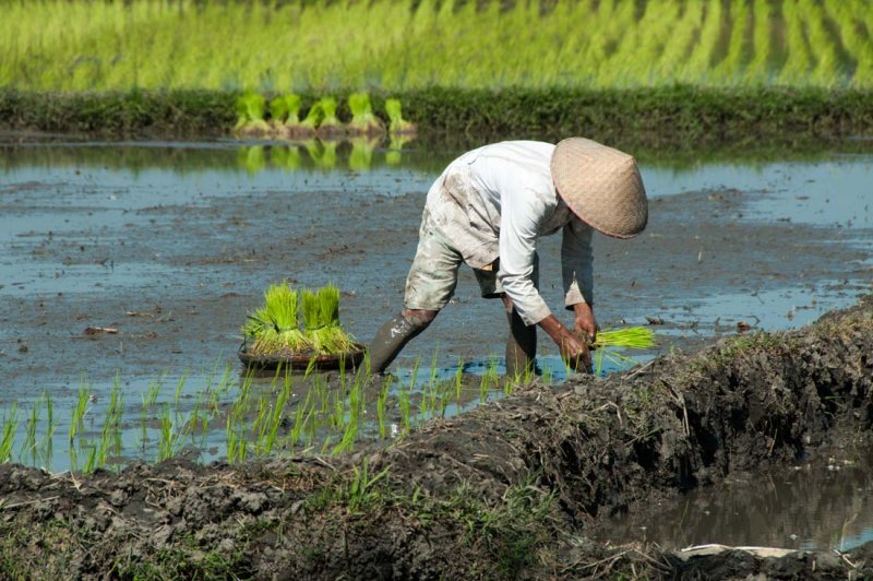 bali_people