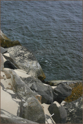 Siuslaw Jetty Rocks 10.jpg