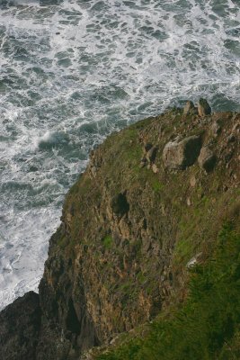 Heceta-Head-Rocks-16.JPG