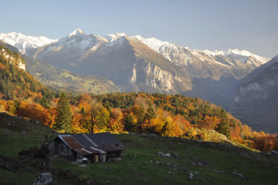 Fall near Meiringen