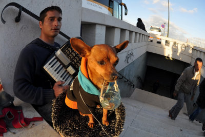 Street musician & dog