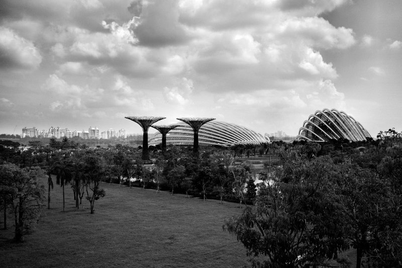 2012 - Singapore - L1000306