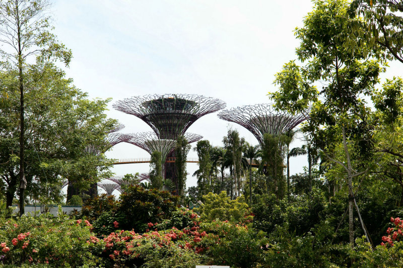 2012 - Singapore - L1000597