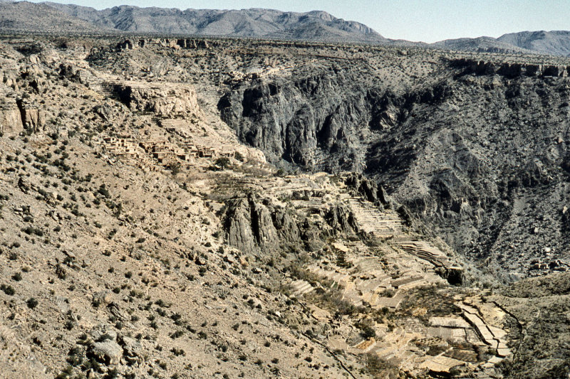 1960 - Jebel Akhdar - ScanOman265