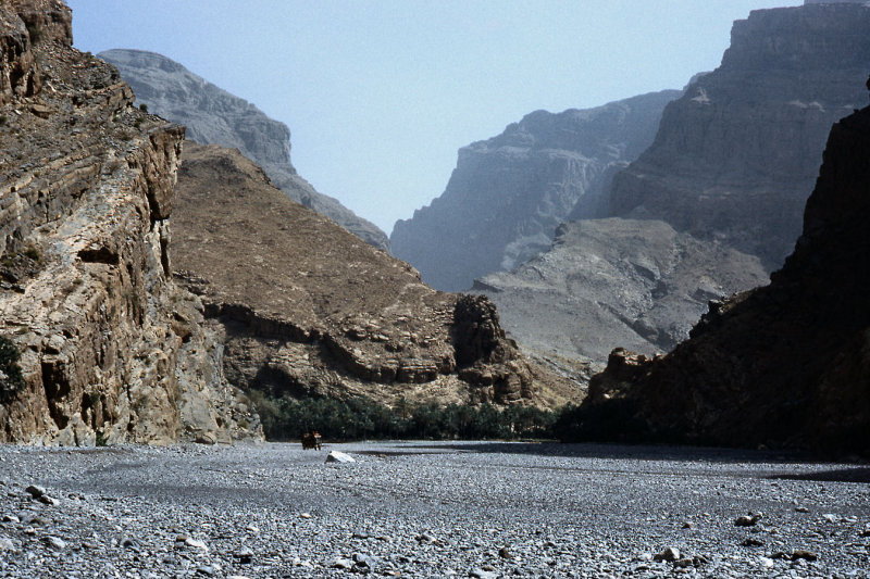 1960 - Kamah Wadi - ScanOman209