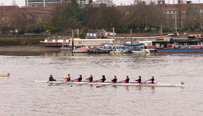 2013 - Womens Head of the River - L1001206