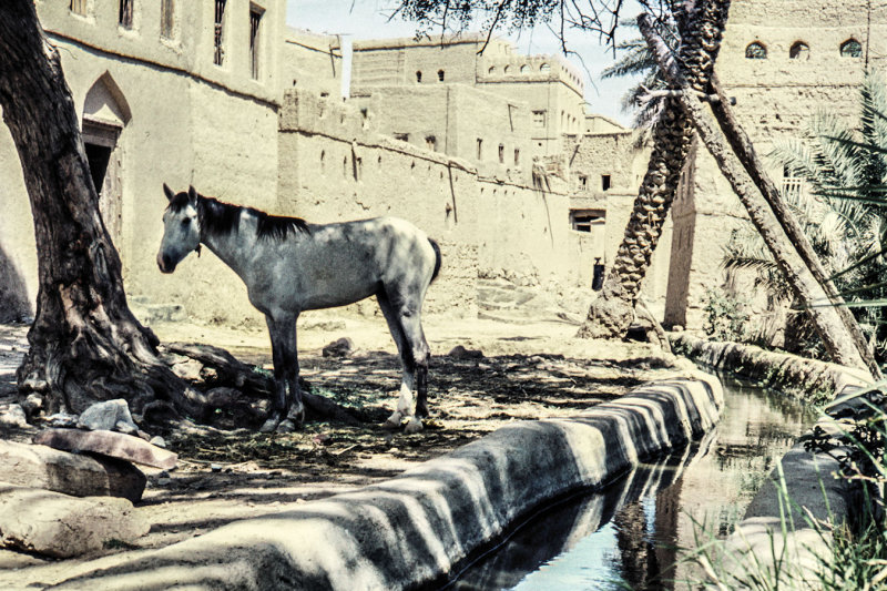 1960 - Al Hamra - 20130311Scan029