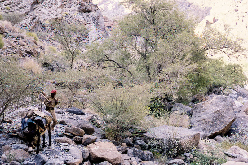 1960 - Jebel Akhdar - 20130312Scan069