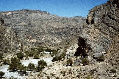 1960 Foot of Jebel Akhdar - ScanOman258