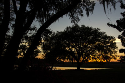 Overlooking the Toogoodoo River