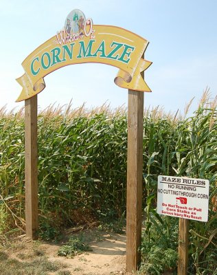 The Harbes' Corn Maze