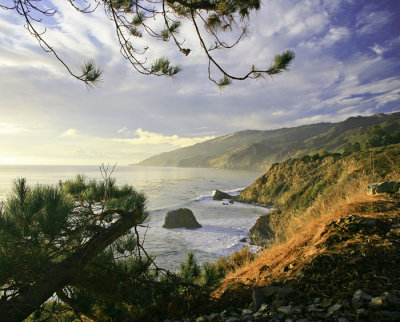 Evening light in Big Sur