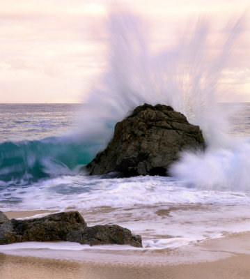 The wave