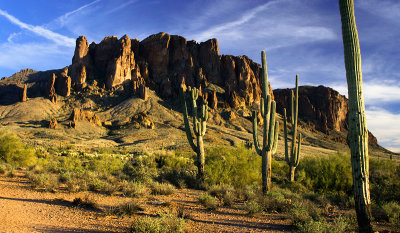 Saguaro and Superstition Mountain