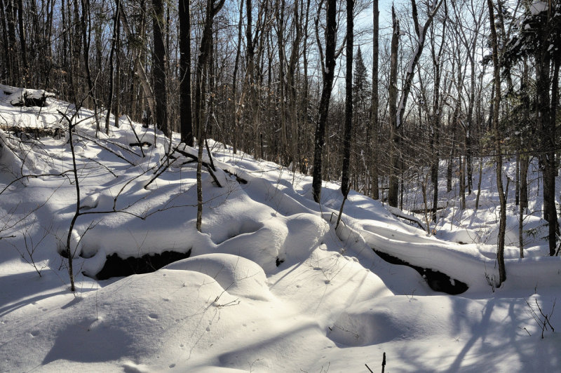 Ruisseau en hiver