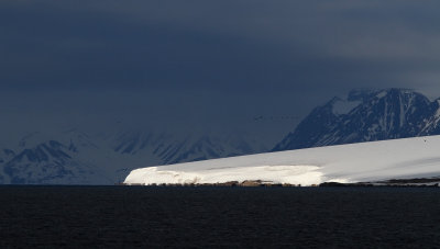 Icescapes of Svalbard