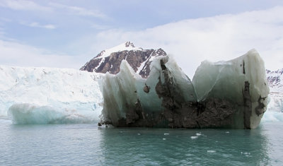 Icescapes of Svalbard