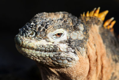 Galápagos 2013