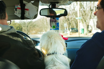 Riding Along in my Automobile