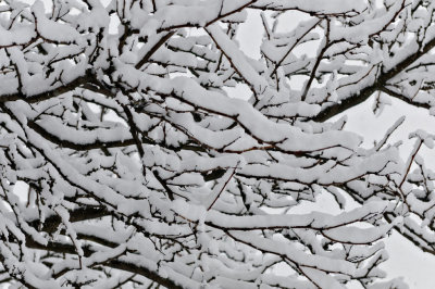 Happy Spring