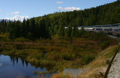 denali_7437