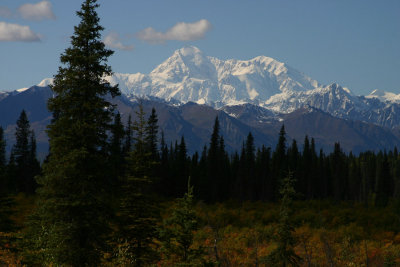 denali_7444