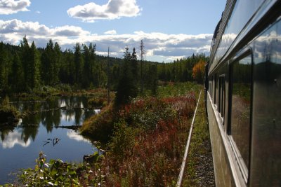 denali_7453