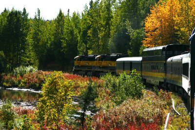 denali_7455