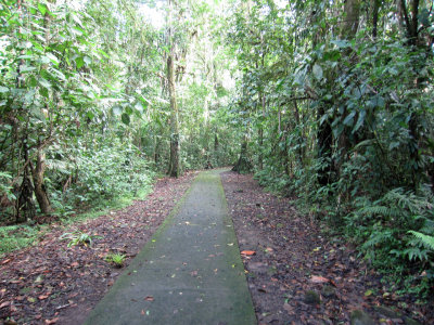 La Selva Trail