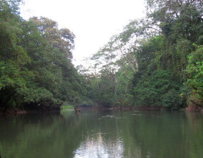 Sarapiqui River