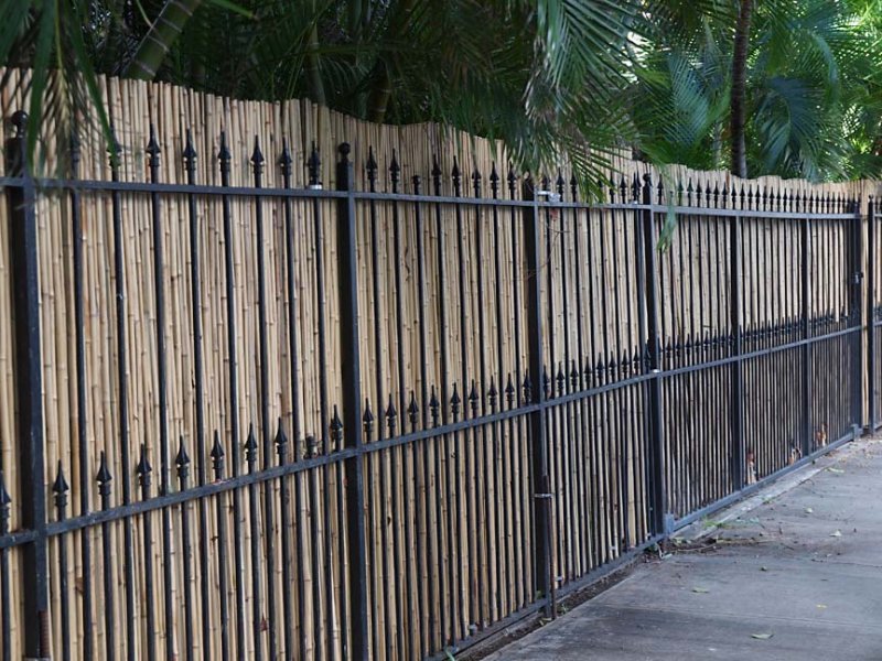 Fence 3130988