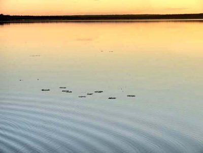 Sundown ripples 0936