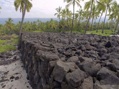 Big Island  B305547