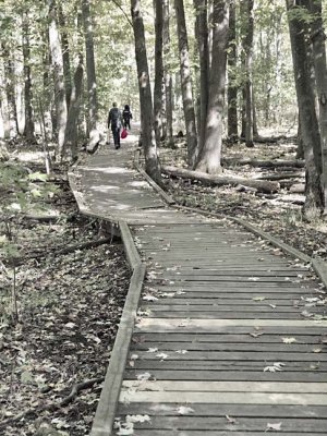 Nature A085155FX