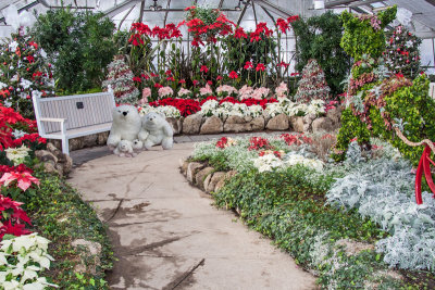 Xmas at Etobicoke Greenhouse  12.jpg