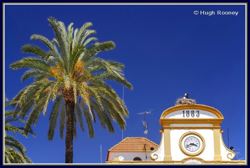 507692 - Spain - Merida - Plaza de Espana - Town Hall with stork in situ.jpg