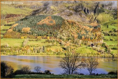 Ireland - Co.Sligo - Looking across Glencar Lake 