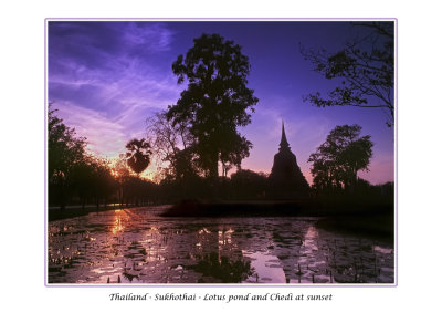 Thailand - Sukhothai - Former capital - Lotus pond and one of 198 chedis in the city