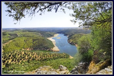 Spain - Extremadura - Monfrague National Park 