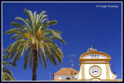 507692 - Spain - Merida - Plaza de Espana - Town Hall with stork in situ.jpg
