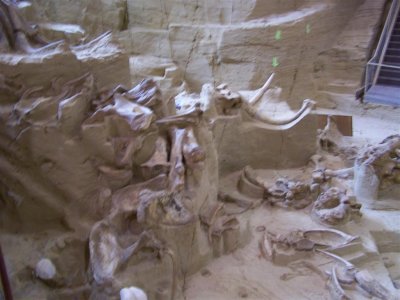 mammoth_site