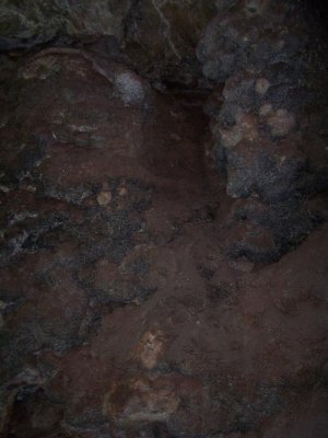 Jewel Cave 009.jpg