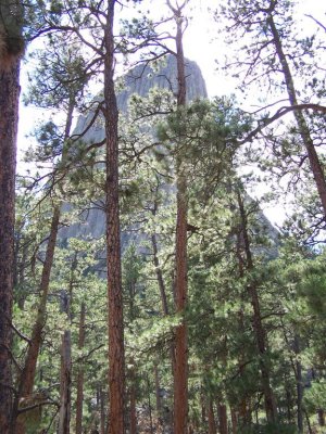 Devils Tower 006.jpg