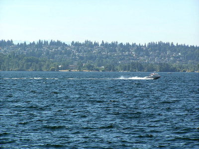 Lake Washington