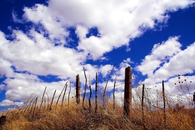 Holding Back The Clouds