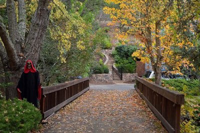 Pacheco Valley