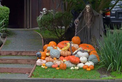 Horde of Pumpkins