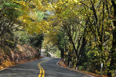 Fall On the Road