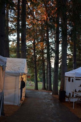 Booths and Sunlit Trees