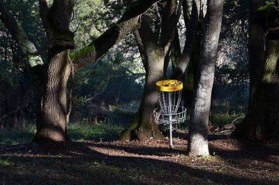 Flying Disc Golf Course